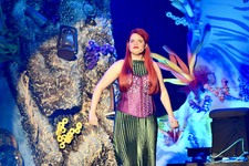 Enlarge photo 211
