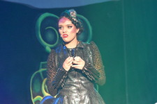 Enlarge photo 433