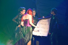 Enlarge photo 516