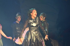 Enlarge photo 529