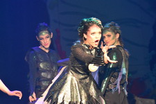 Enlarge photo 536