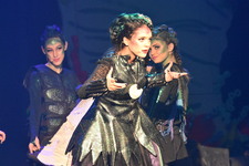 Enlarge photo 544