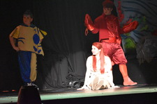 Enlarge photo 561