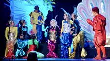 Enlarge photo 242