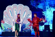 Enlarge photo 247
