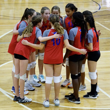 MS VB