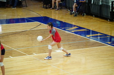 Enlarge photo 510