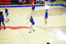 Enlarge photo 239