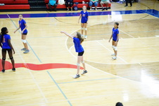 Enlarge photo 241