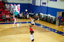 Enlarge photo 73