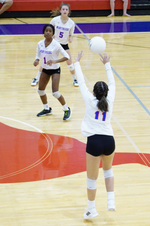 Enlarge photo 203