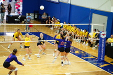 Enlarge photo 33