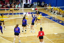 Enlarge photo 41