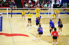 Enlarge photo 50