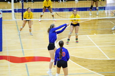 Enlarge photo 95