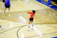 Enlarge photo 107
