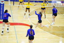 Enlarge photo 111