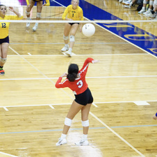 Enlarge photo 116