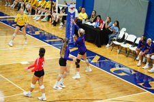 Enlarge photo 124