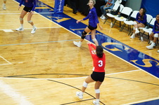 Enlarge photo 230