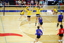 Enlarge photo 257