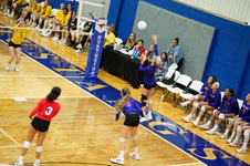 Enlarge photo 260