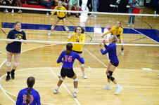 Enlarge photo 313