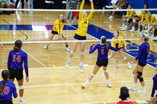 Enlarge photo 343