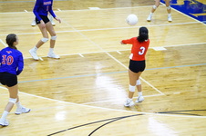 Enlarge photo 348
