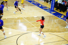 Enlarge photo 445