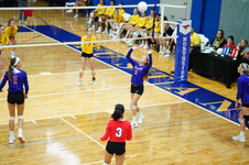 Enlarge photo 511