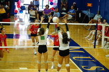 Enlarge photo 53