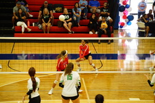 Enlarge photo 239
