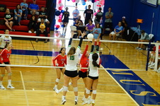 Enlarge photo 248