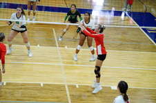 Enlarge photo 260
