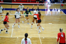Enlarge photo 293