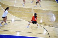 Enlarge photo 335