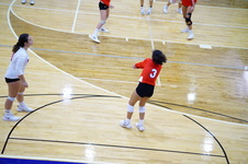 Enlarge photo 337