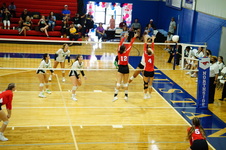 Enlarge photo 451