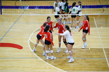 Enlarge photo 493
