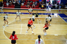 Enlarge photo 562