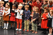 Enlarge photo 151