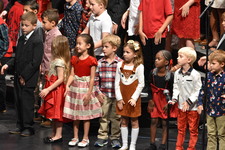 Enlarge photo 152