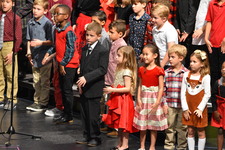 Enlarge photo 153
