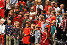 Enlarge photo 156