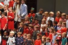 Enlarge photo 157