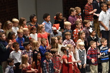 Enlarge photo 159
