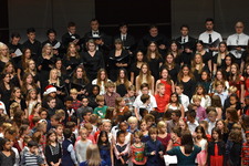 Enlarge photo 174