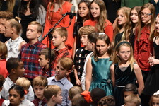 Enlarge photo 205