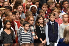 Enlarge photo 224